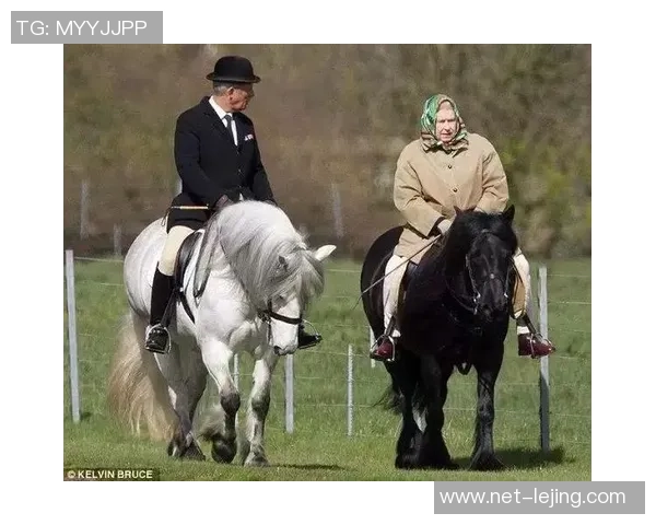 伯顿与女王训游的精彩对决揭示了骑马运动的魅力与挑战