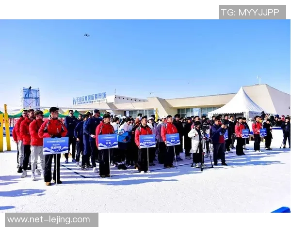 广州排球队战术解析与发展策略探讨之路 广州排球队战术解析与发展策略探讨之路
