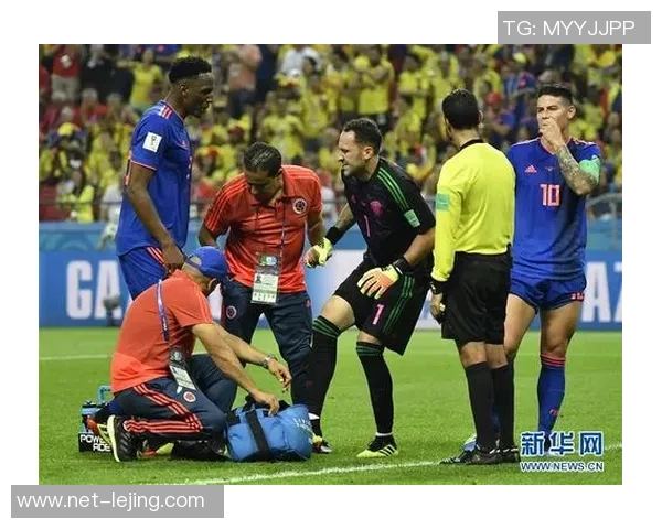 日本与波兰的较量h组赛场上的精彩对决与战术分析 日本与波兰的较量h组赛场上的精彩对决与战术分析